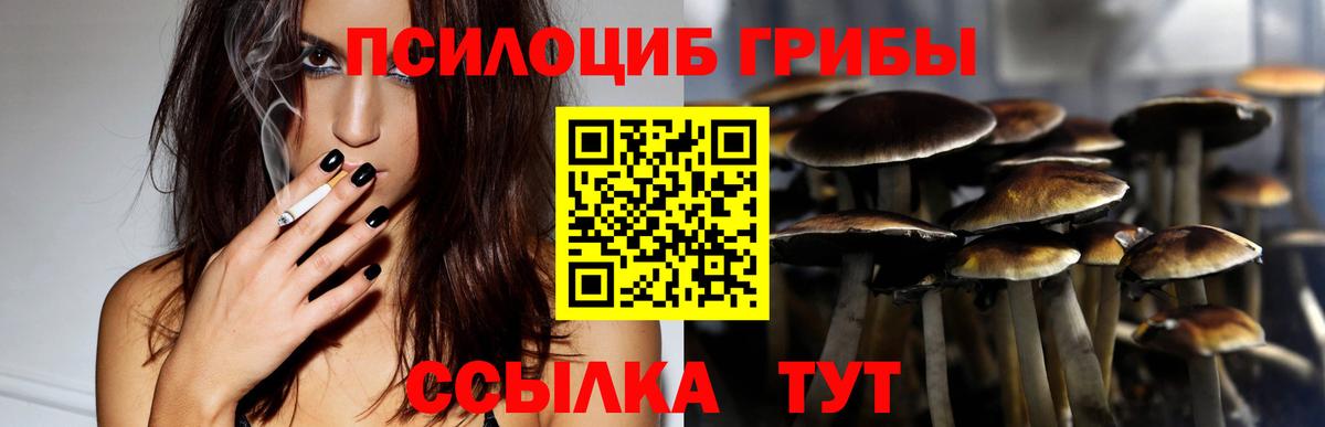 Псилоцибиновые грибы GOLDEN TEACHER Клин